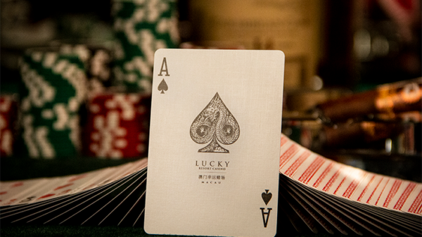 Lucky Casino (Marked) Playing Cards - Image 6