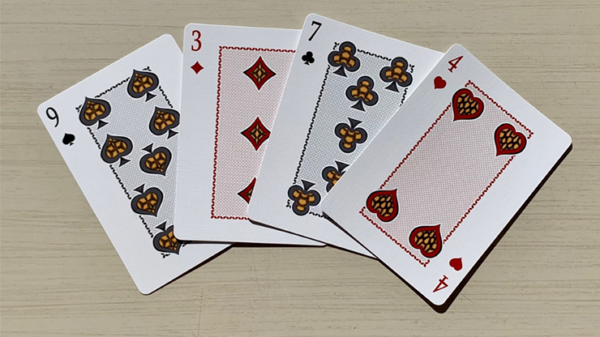 Gilded Bicycle Turtle (Sea) Playing Cards - Image 4