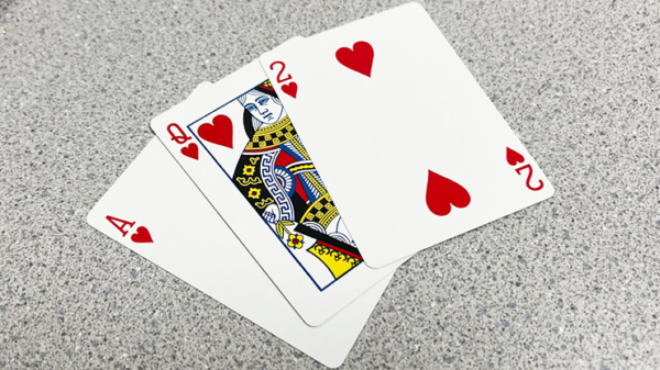 Bicycle 2 Faced Red Tuck (Mirror Deck Same on both sides) Playing Card - Image 3
