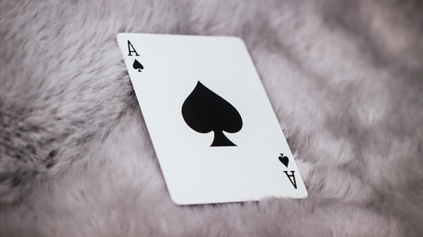 Signature Playing Cards - Second Edition by Jordan Victoria - Image 3
