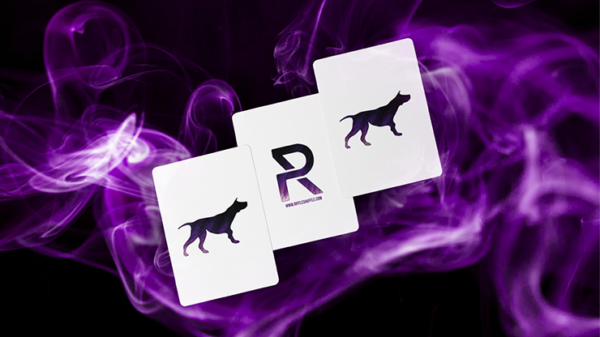 Sirius B V5 Playing Cards by Riffle Shuffle - Image 5