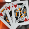 NOC3000X3 : Black/Orange (Human) - Image 2