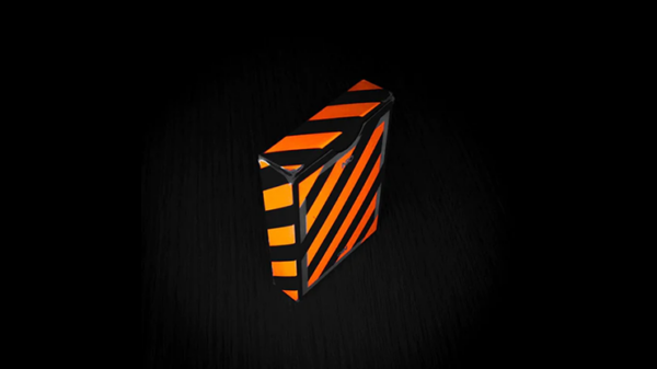 Broken Borders 2020 Playing Cards by The New Deck Order - Image 3