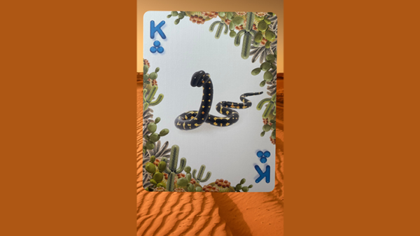Bicycle Balloon Desert Playing Cards - Image 2