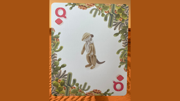 Bicycle Balloon Desert Playing Cards - Image 4
