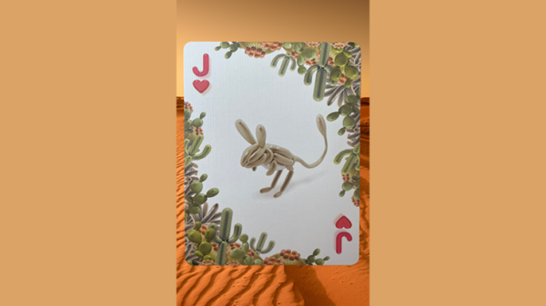 Bicycle Balloon Desert Playing Cards - Image 5