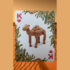 Bicycle Balloon Desert Playing Cards - Image 6