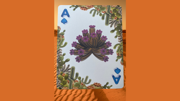 Bicycle Balloon Desert (Stripper) Playing Cards - Image 5