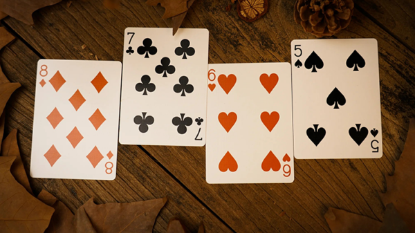 Forest elf Badger Playing Cards - Image 5