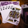 Royal Wonder Playing Cards - Image 4