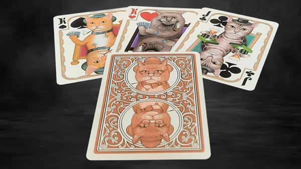 Bicycle Poker Cats V2  Playing Cards - Image 2
