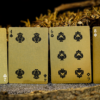 Vermilion Bird Black Gold Box Set by Ark Playing Cards - Image 4
