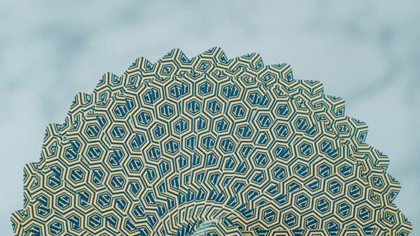 No Borders Honeycomb Playing Cards by Joker and the Thief - Image 3