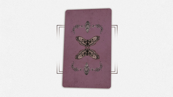 House By The Window (Mini Edition) Tarot Deck by TCC - Image 3