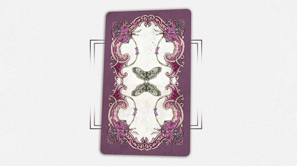 House by the Window (Standard Edition) Tarot Deck - Image 2