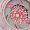 Stellar Dread Playing Cards Virus Special Edition - Image 6