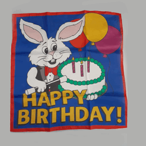 Happy Birthday Silk (18 in) by Ginn and Goshman