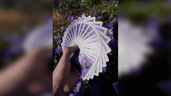 Dream of Butterflies by YD Cards - Image 3